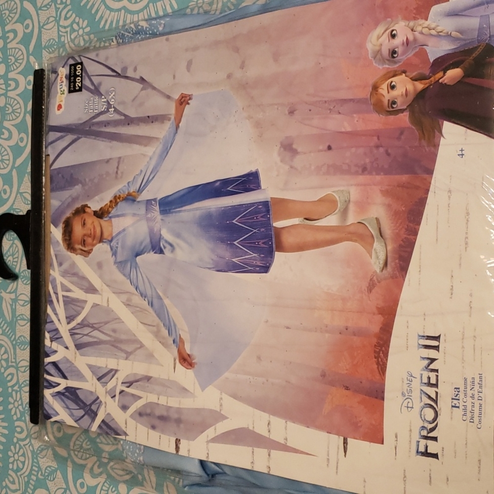 Elsa Costume